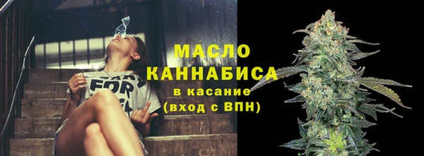индика Иннополис