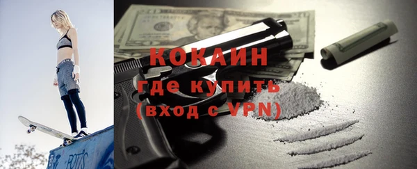 индика Иннополис