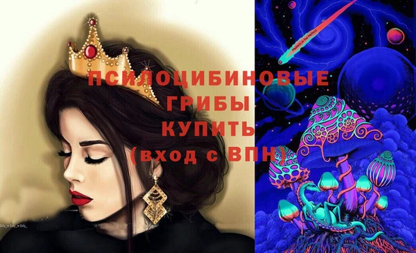 индика Иннополис