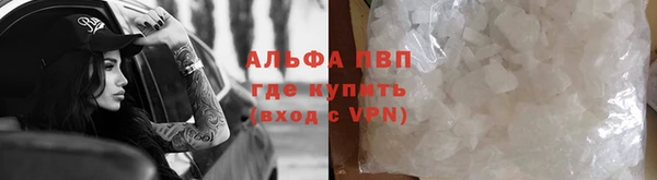 индика Иннополис
