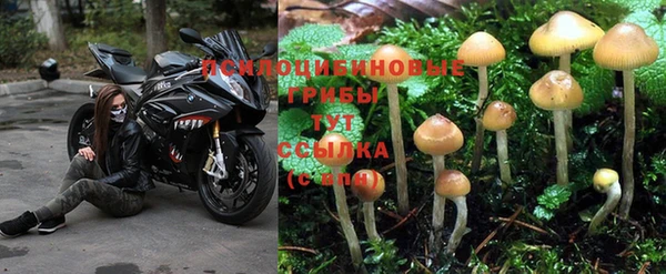 а пвп мука Инсар