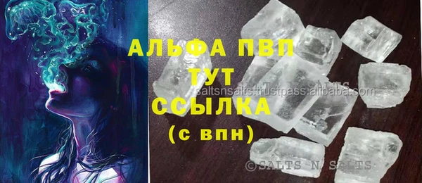 индика Иннополис