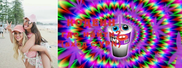индика Иннополис