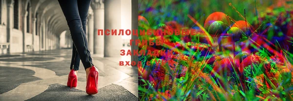 а пвп мука Инсар
