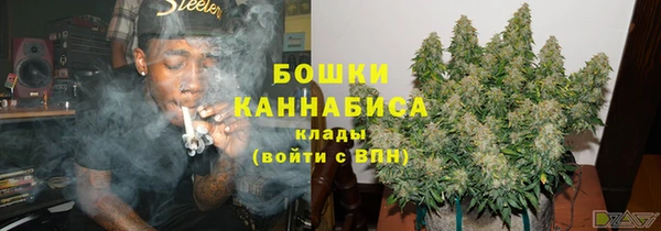 индика Иннополис