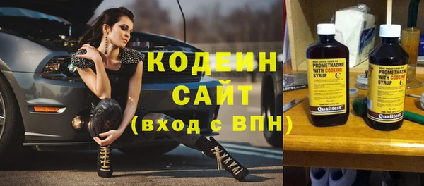 индика Иннополис