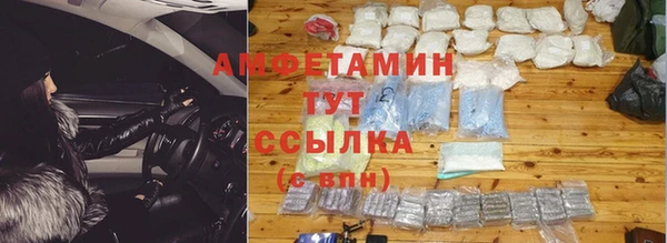 индика Иннополис